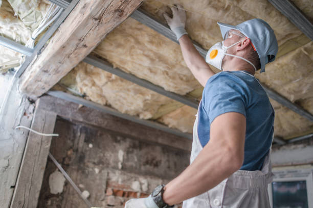 Best Types of Insulation in Manchester, GA